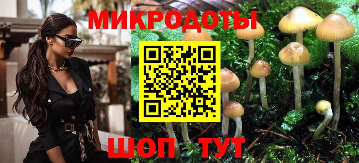 Галлюциногенные грибы Magic Shrooms  Вход с VPN  Псилоцибиновые грибы Cubensis  Ставрополь 