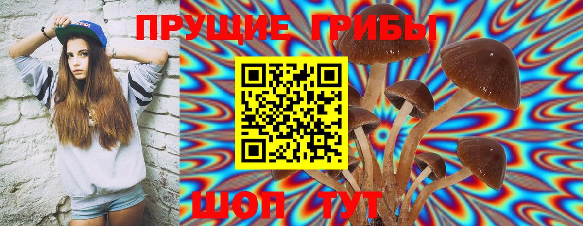 Псилоцибиновые грибы GOLDEN TEACHER Ставрополь